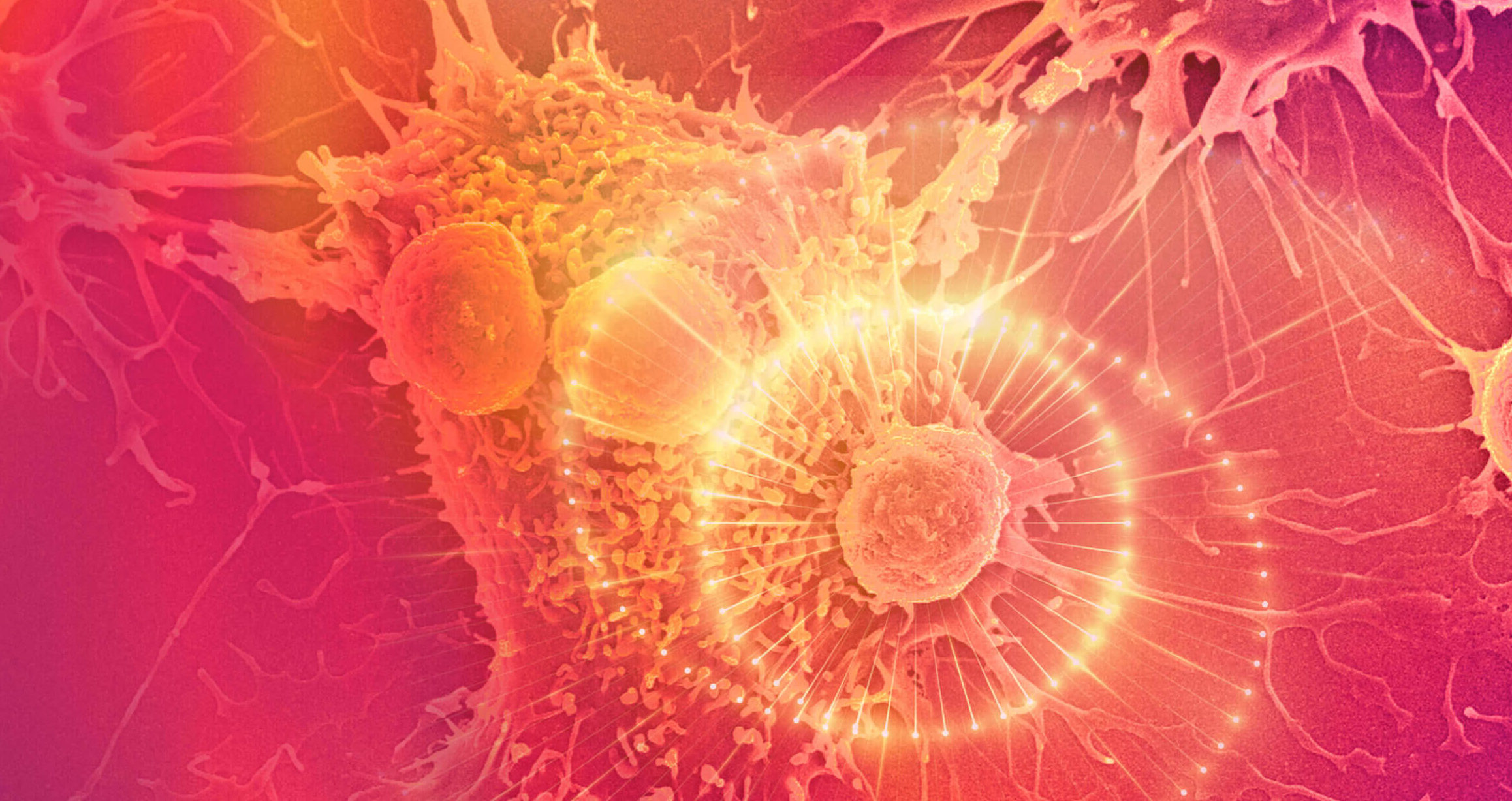 LAVA Therapeutics Announces $83 million Series C Financing to Advance Novel Immuno-Oncology Programs<