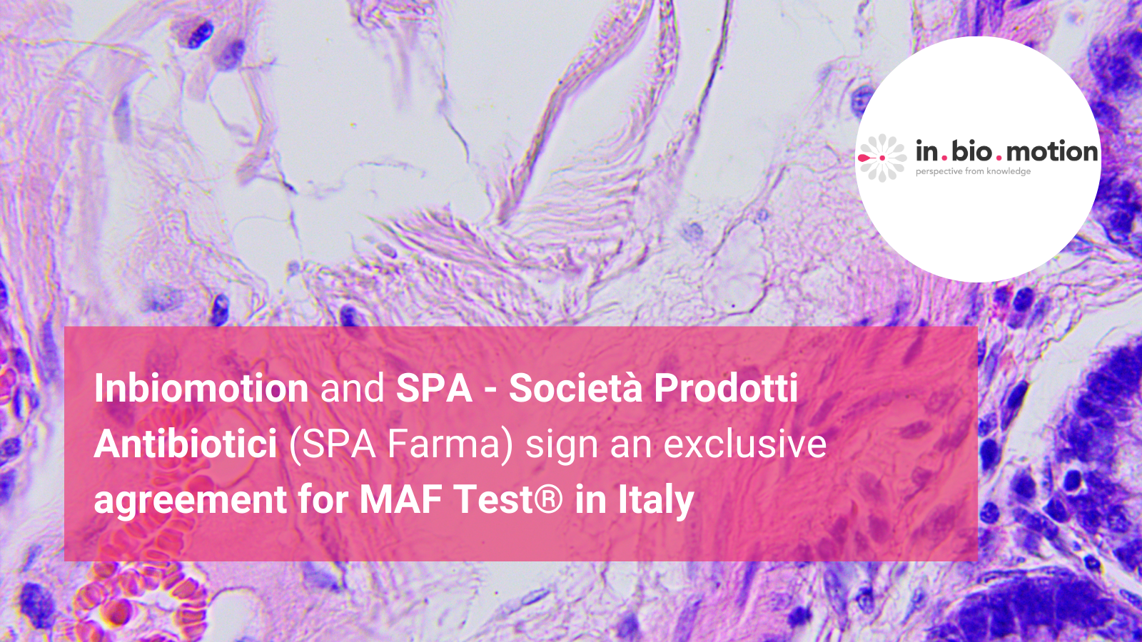 Inbiomotion and SPA – Società Prodotti Antibiotici (SPA Farma) sign an exclusive agreement for MAF Test® in Italy