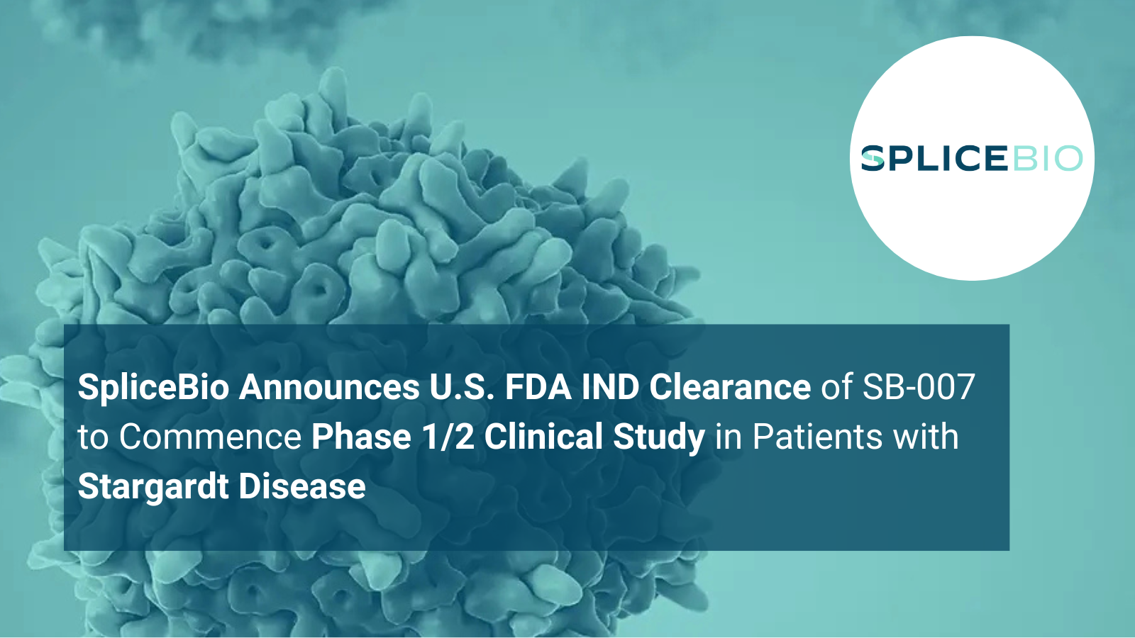 SpliceBio Announces U.S. FDA IND Clearance of SB-007 to  Commence Phase 1/2 Clinical Study in Patients with Stargardt  Disease<