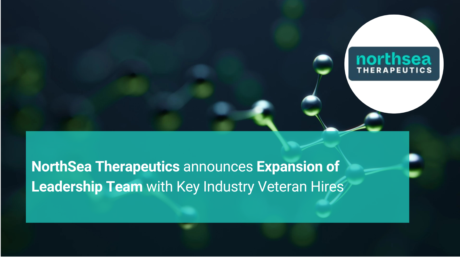 NorthSea Therapeutics Announces Expansion of Leadership Team with Key Industry Veteran Hires