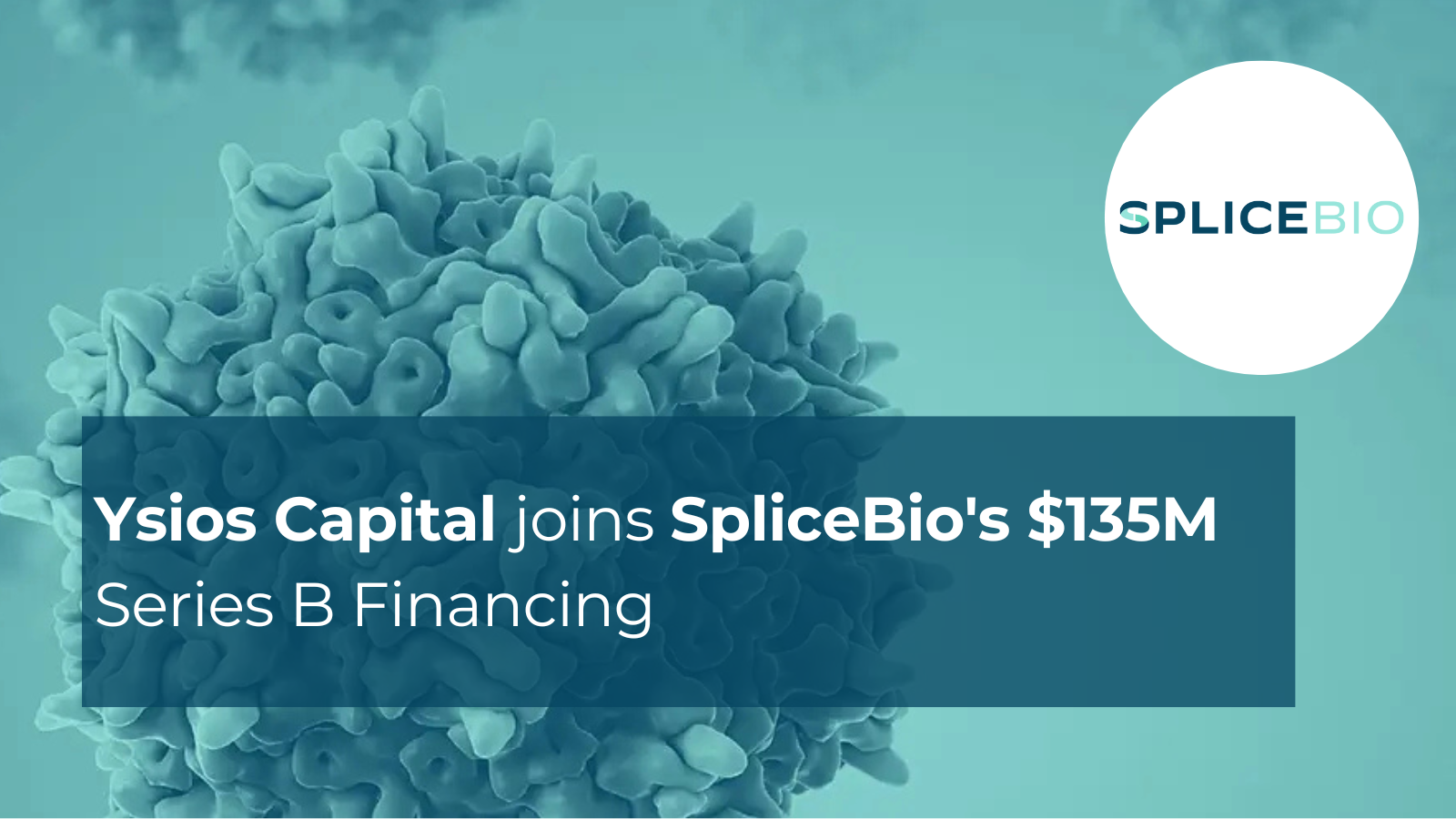 SpliceBio Secures Series B Financing to Advance Stargardt Disease Therapy