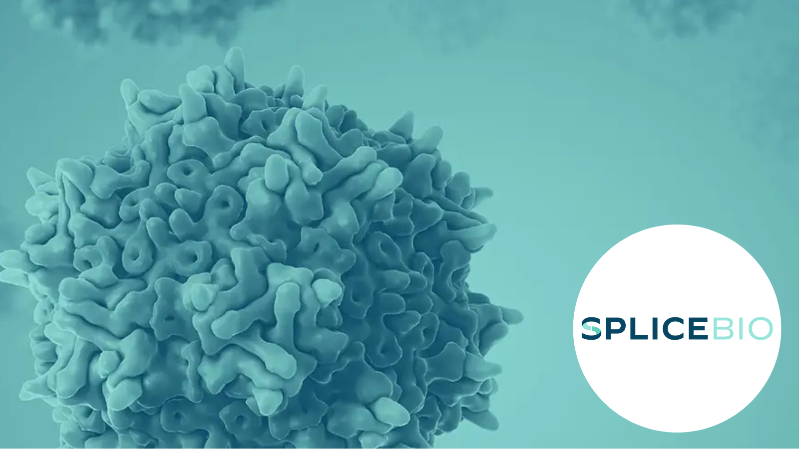 SpliceBio Secures $135 Million Series B Financing to Advance Lead Program SB-007 in Stargardt Disease and Expand Pipeline of Genetic Medicines