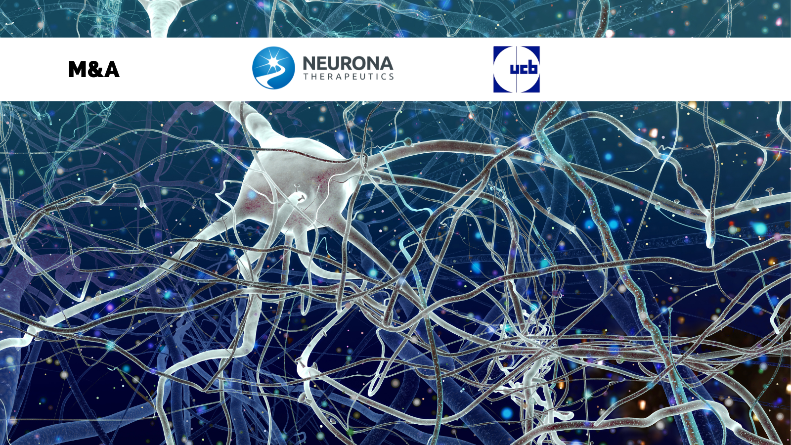 UCB to acquire Neurona Therapeutics, advancing its innovative leadership in epilepsy through regenerative science