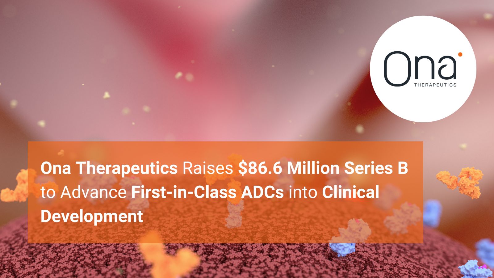 Ona Therapeutics Raises $86.6 Million Series B to Advance First-in-Class ADCs into Clinical Development<