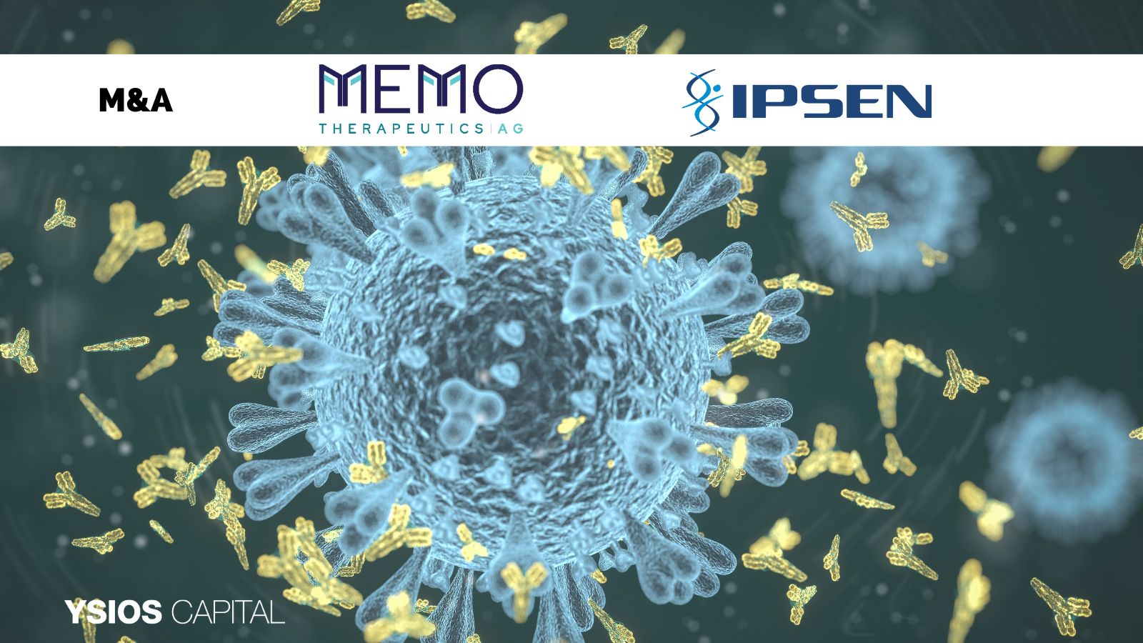 Ipsen to acquire Memo Therapeutics AG, adding first-in-class BK polyomavirus antibody, expanding rare disease portfolio
